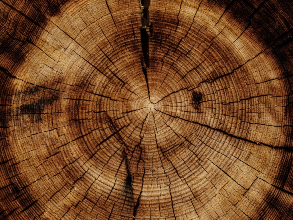 Securing multi-agent AI systems with AWS Cedar policies